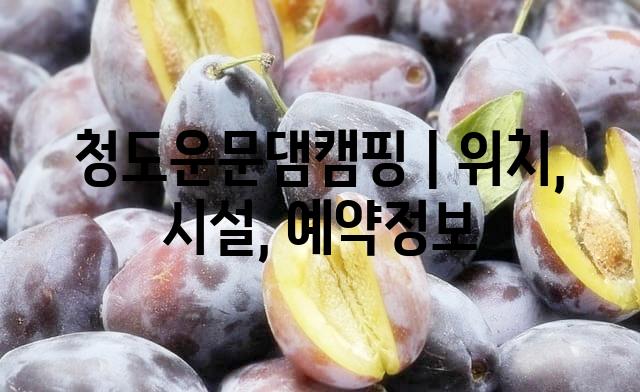 랜덤187