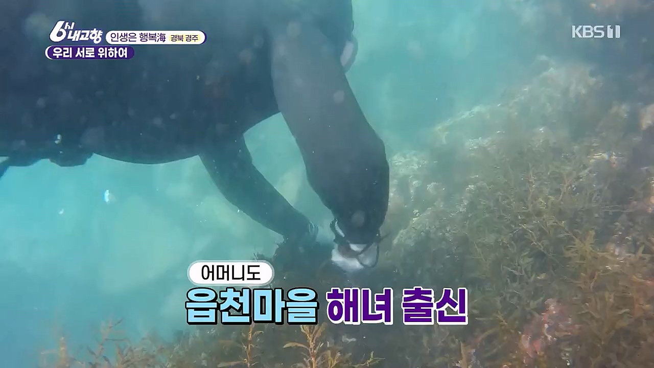 6시 내고향.E7744.230314p.H264-F1RST.mp4_20230314_175017.069.jpg