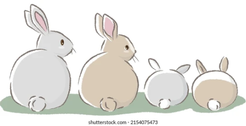 토끼꿈