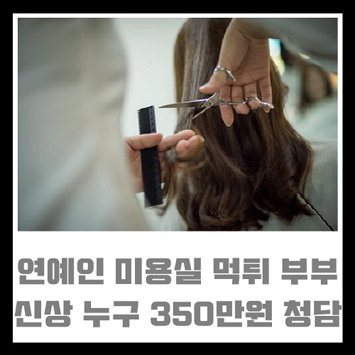 연예인 미용실 먹튀 부부 신상 누구 350만원 셀프 할인 강남 청담동