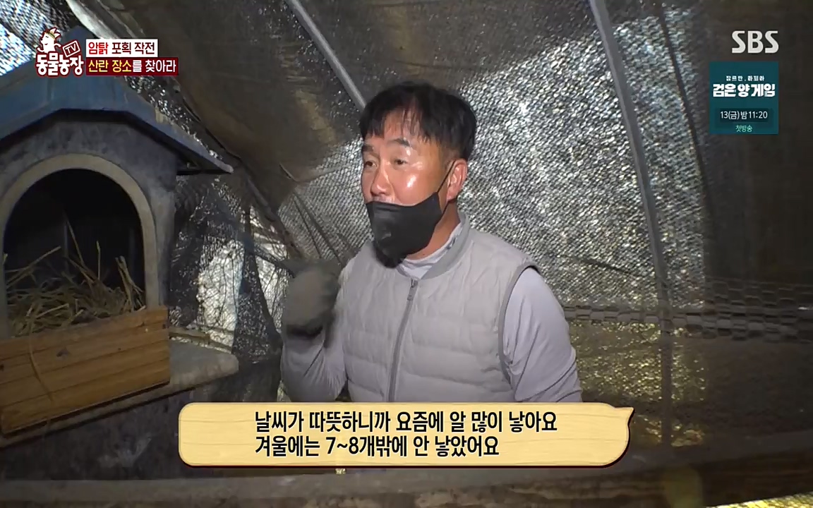 TV 동물농장.E1068.220509p-NEXT.mp4_20220508_173819.749.jpg