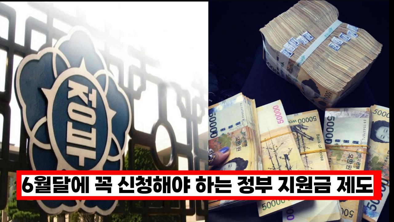  6월부터 새롭게 시작 하는 '정부 지원금 제도 4가지' 놓치면 정말 후회해요.