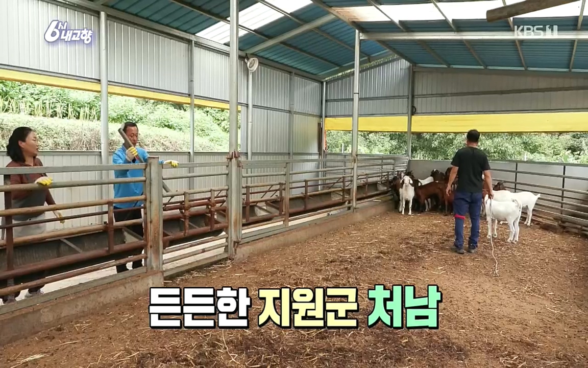 6시 내고향.E7618.220916p.H264-F1RST.mp4_20220920_202021.166.jpg