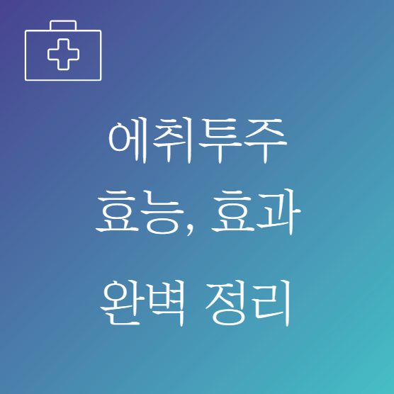 에취투주