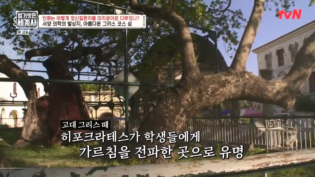 벌거벗은 세계사.E122.231025p-NEXT.mp4_20240525_170331.777.jpg