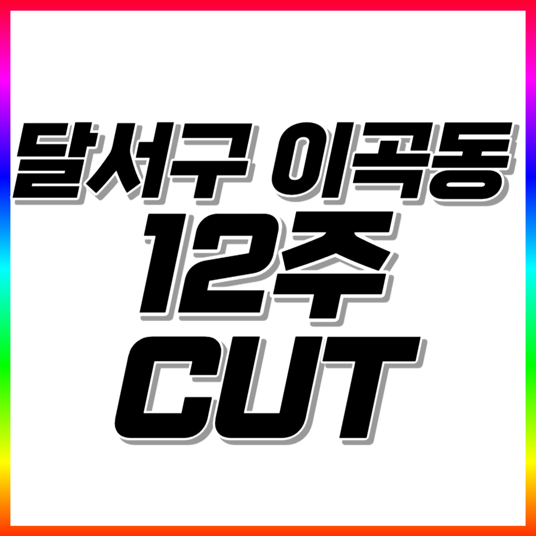  달서구 초등 수학과외 이곡동 고등 중학생 영어과외 전과목 일대일 맞춤수업 공부법 코칭수업