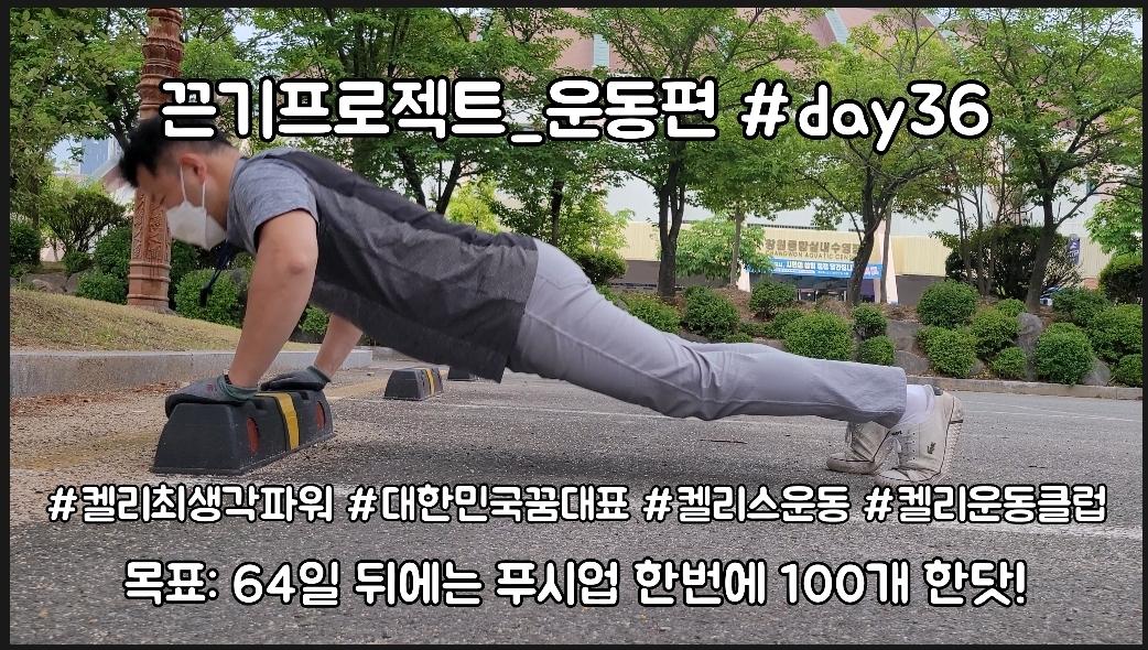  켈리최 회장님과 함께하는 끈기프로젝트 운동편 day36