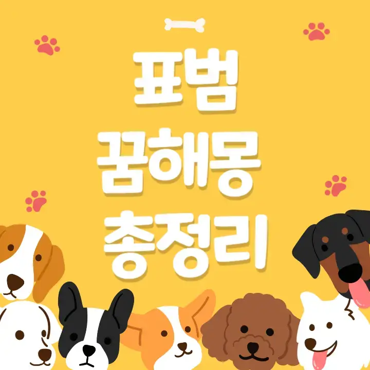 표범-꿈해몽-총정리