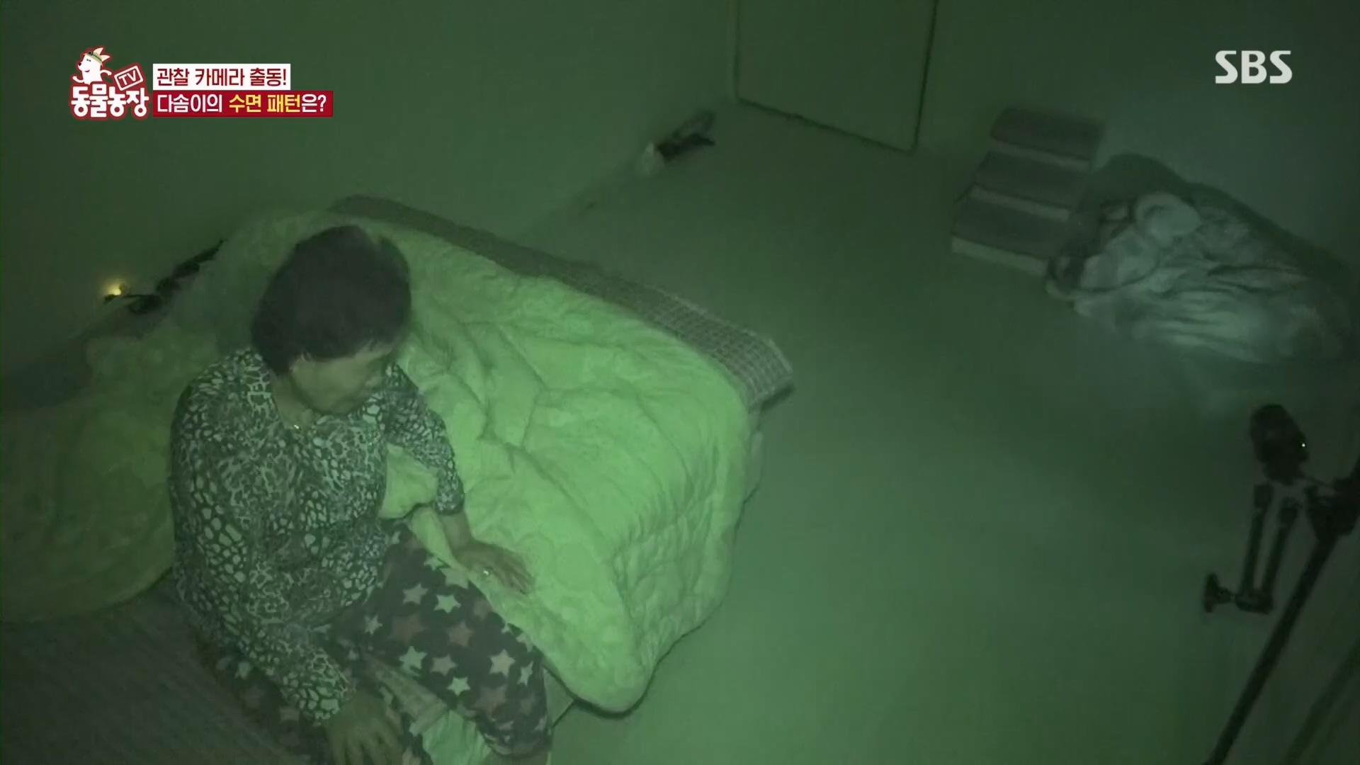 TV 동물농장.E1159.240218p.H264-F1RST.mp4_20240218_170000.141.jpg