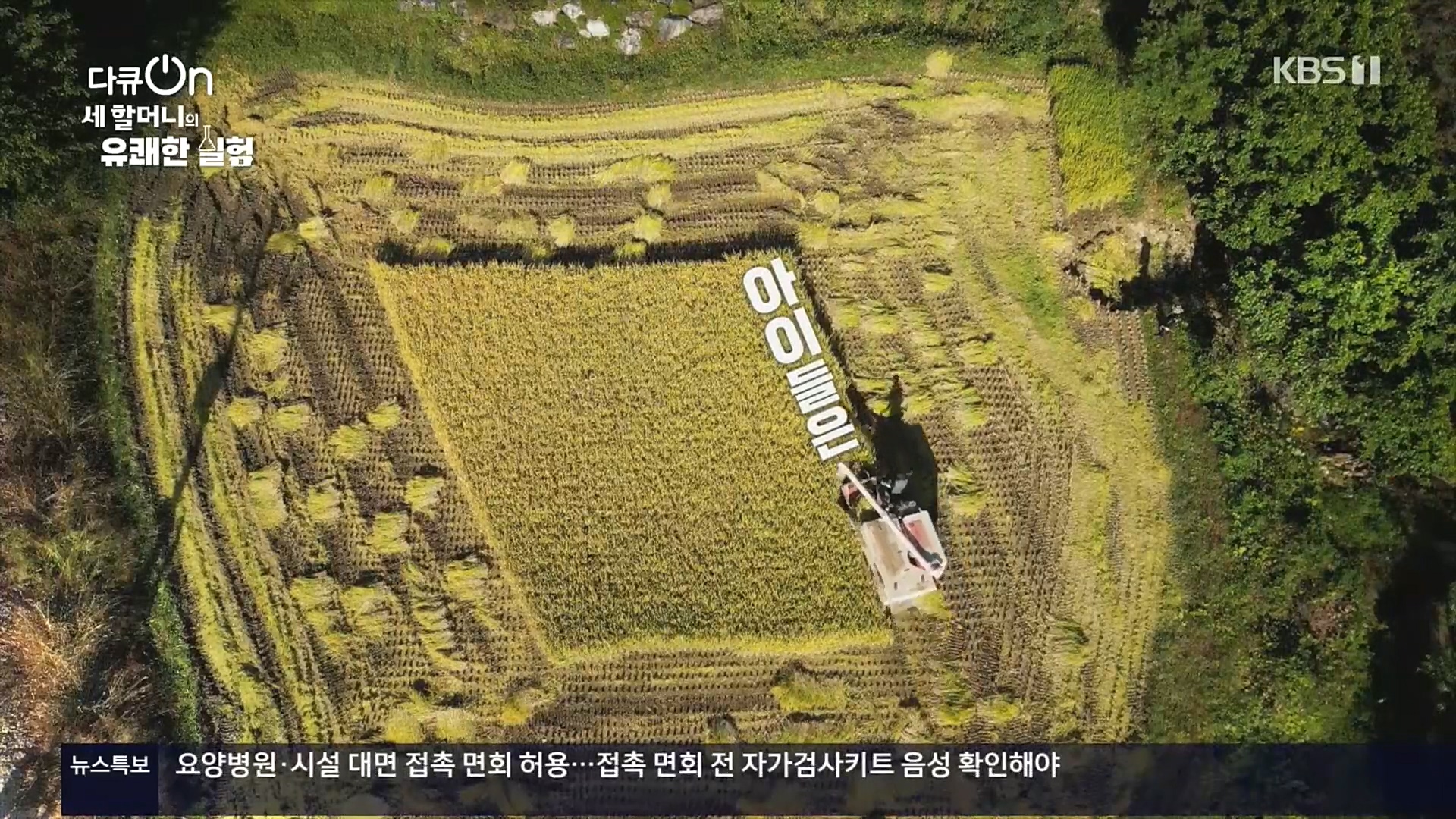 다큐 On.E166.221028p.H264-F1RST.mp4_20221031_194217.378.jpg