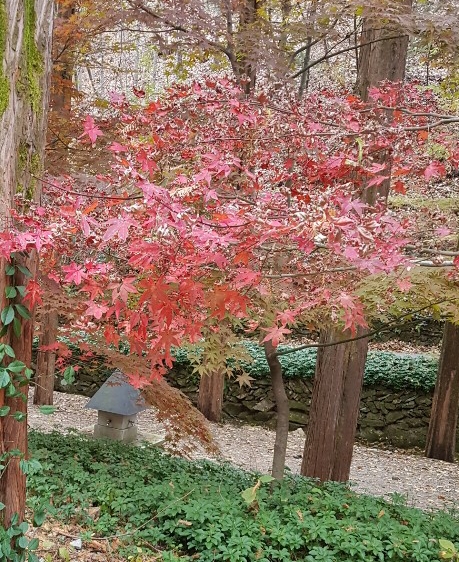  <80가요> 옛 시인의 노래 가사 피아노반주