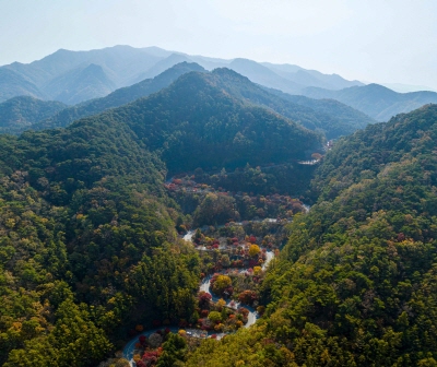 단양-보발재-전망대에서-만나는-가을-절경