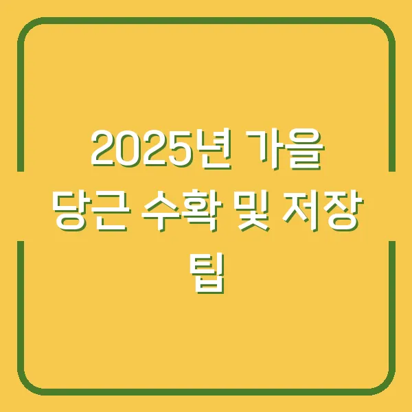 2025년 가을 당근 수확 및 저장 팁