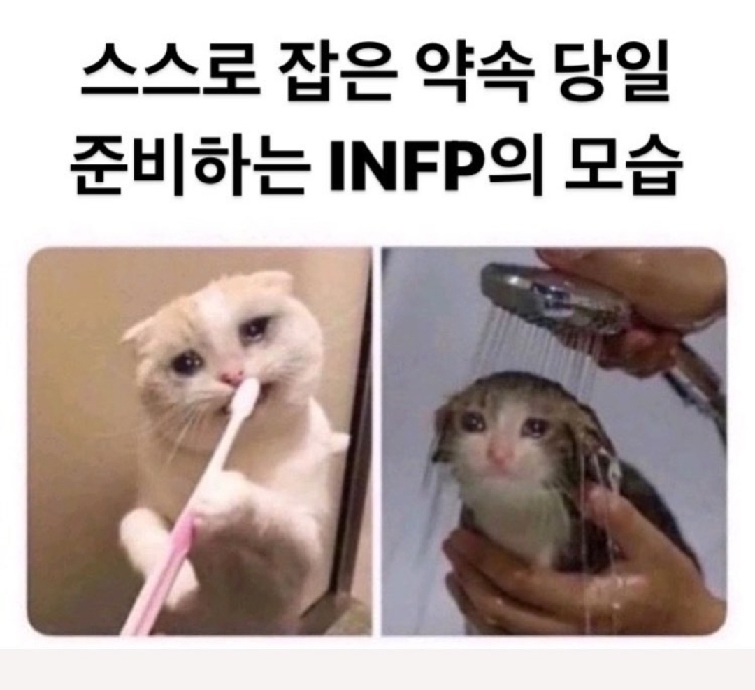 인프피 infp 짤