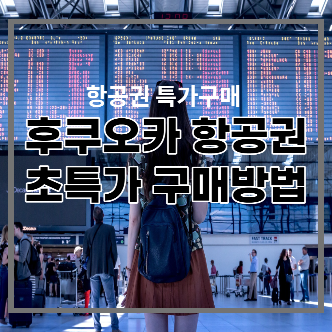  후쿠오카 항공권 가장 싸게, 초특가 구매방법