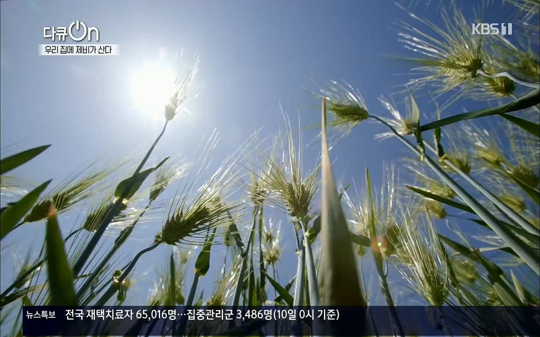 다큐 On.E143.220610p.H264-F1RST.mp4_20220613_202631.855.jpg