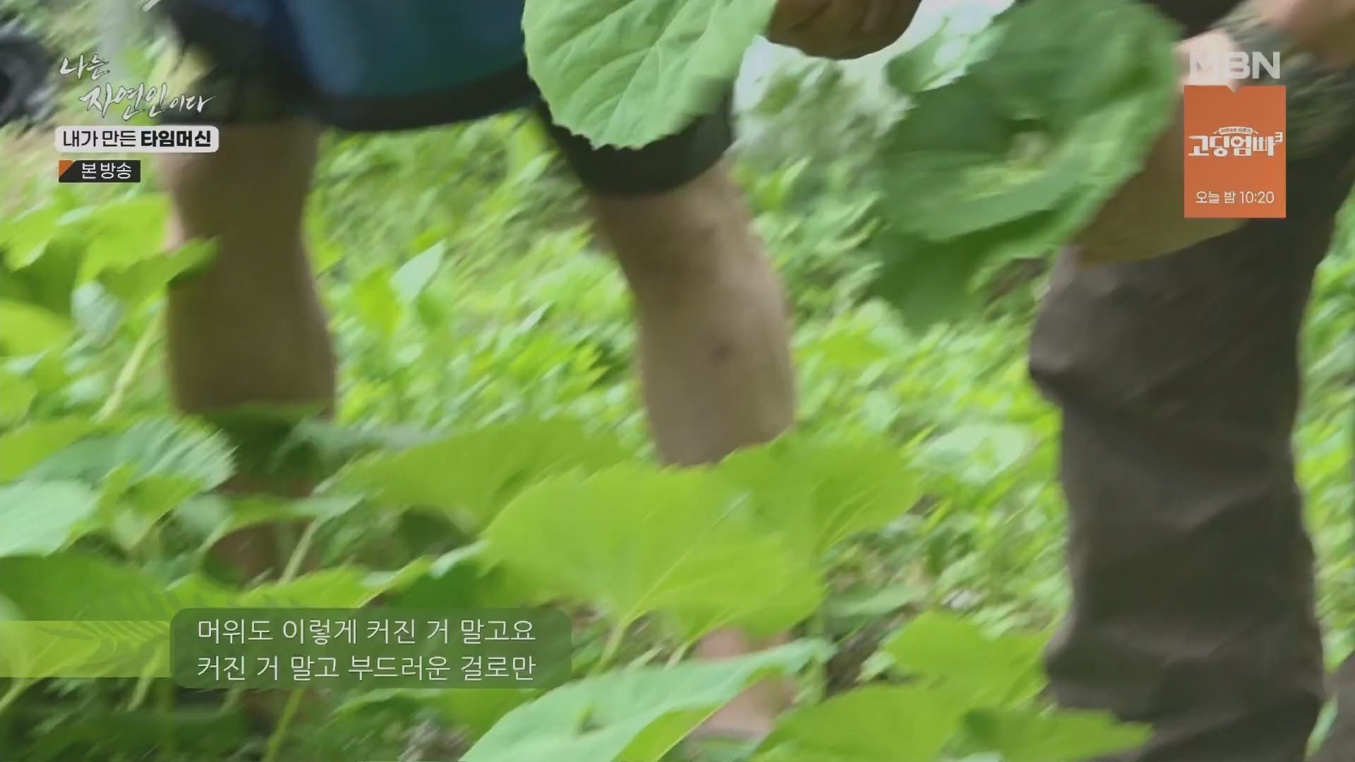 나는 자연인이다.E555.230524p.H264-F1RST.mp4_20230526_212801.973.jpg