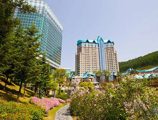 하이원 그랜드 호텔 메인타워