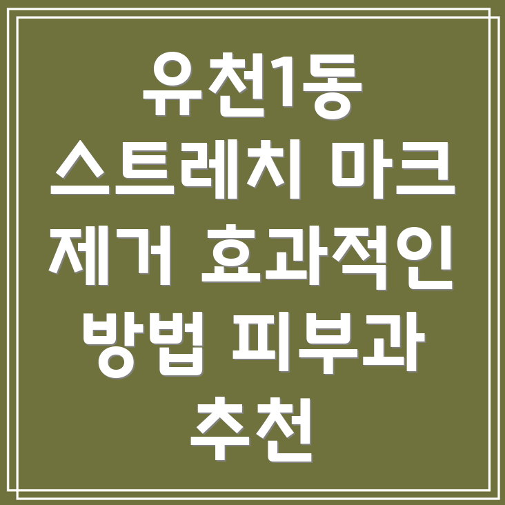 스트레치 마크 제거