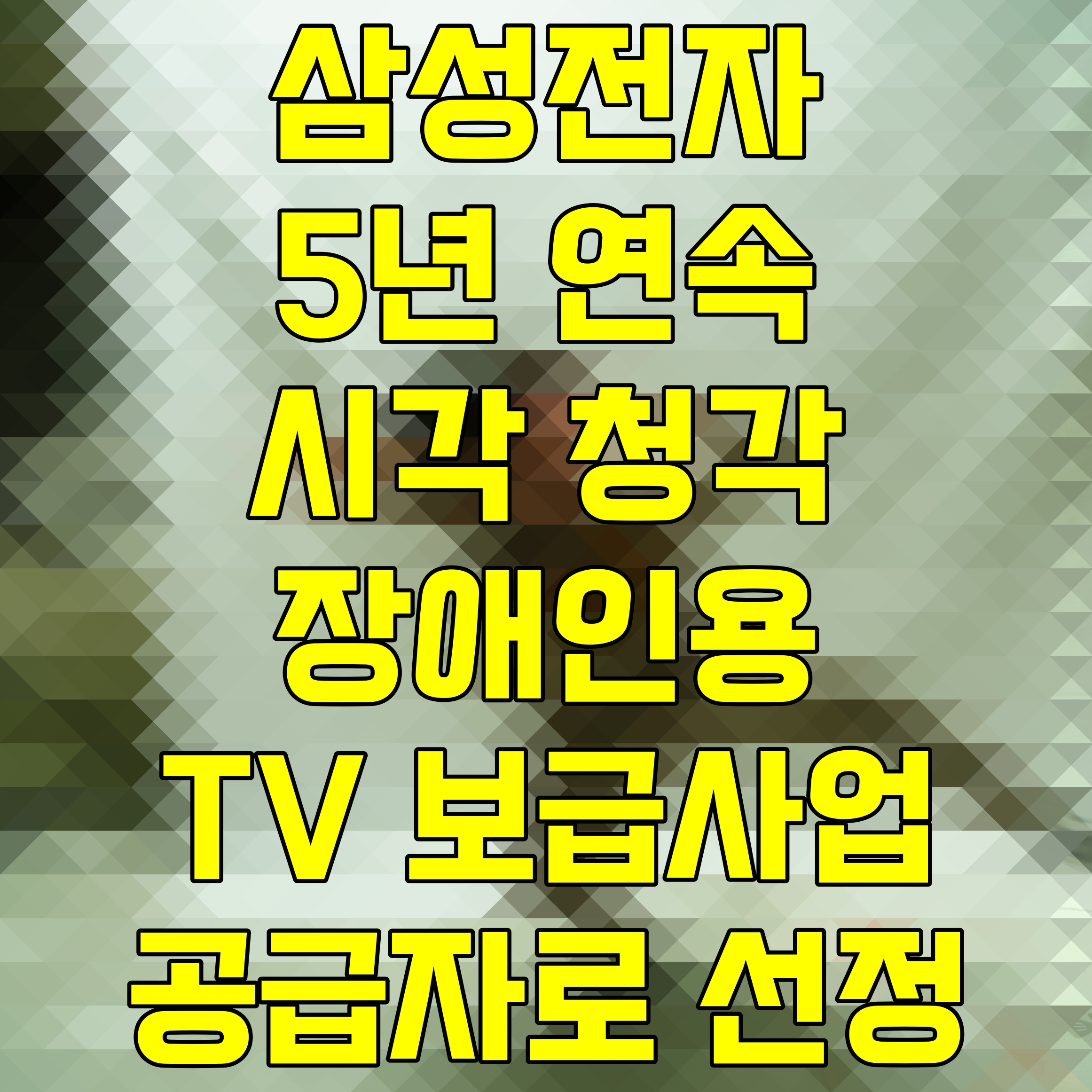  삼성전자 5년 연속 시각 청각 장애인용 TV 보급사업 공급자로 선정