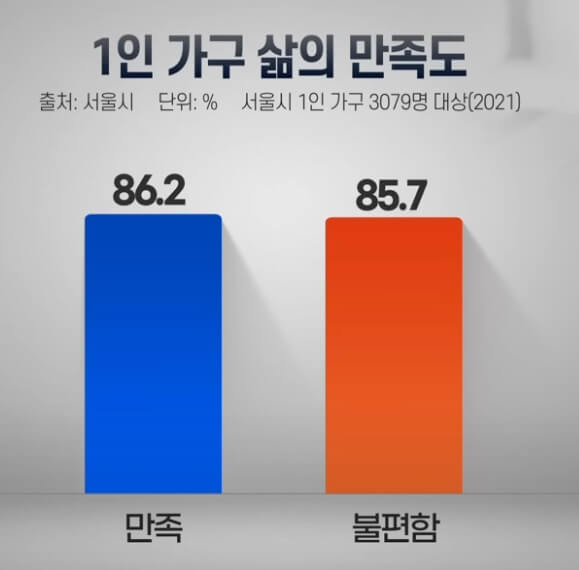 1인가구 삶의 만족도