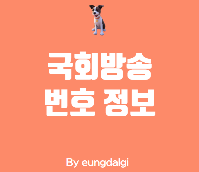  국회방송 번호 정보