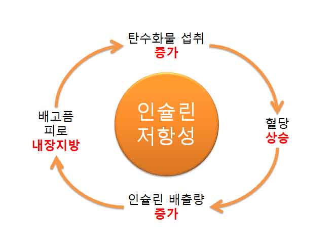 공복혈당이 높은 이유는 뭘까? 공복혈당 낮추기 공복혈당이 높은 이유는 뭘까? 공복혈당 낮추기