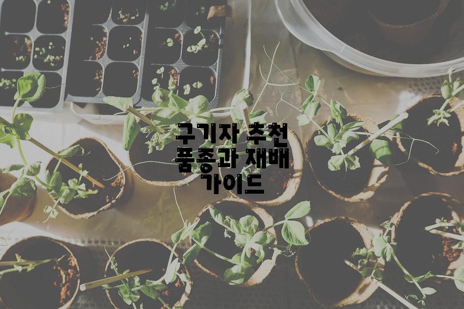 구기자 추천 품종과 재배 가이드