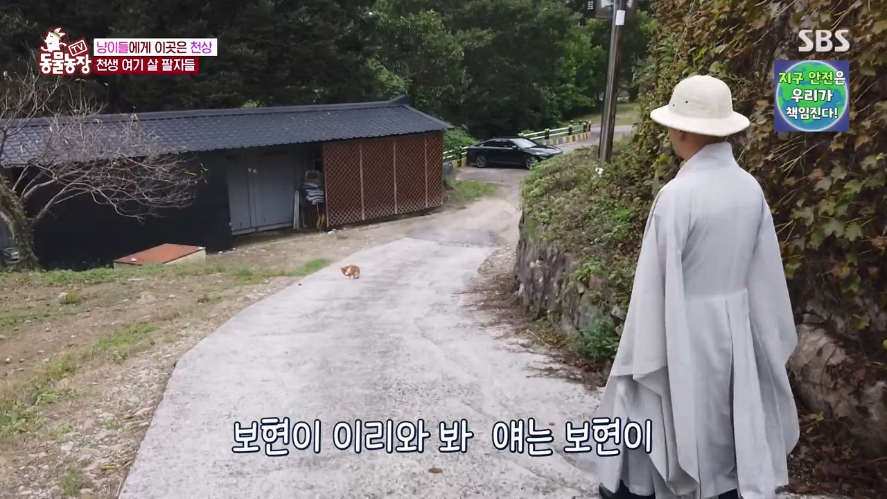 TV 동물농장.E1143.231030p-NEXT.mp4_20231029_164047.973.jpg