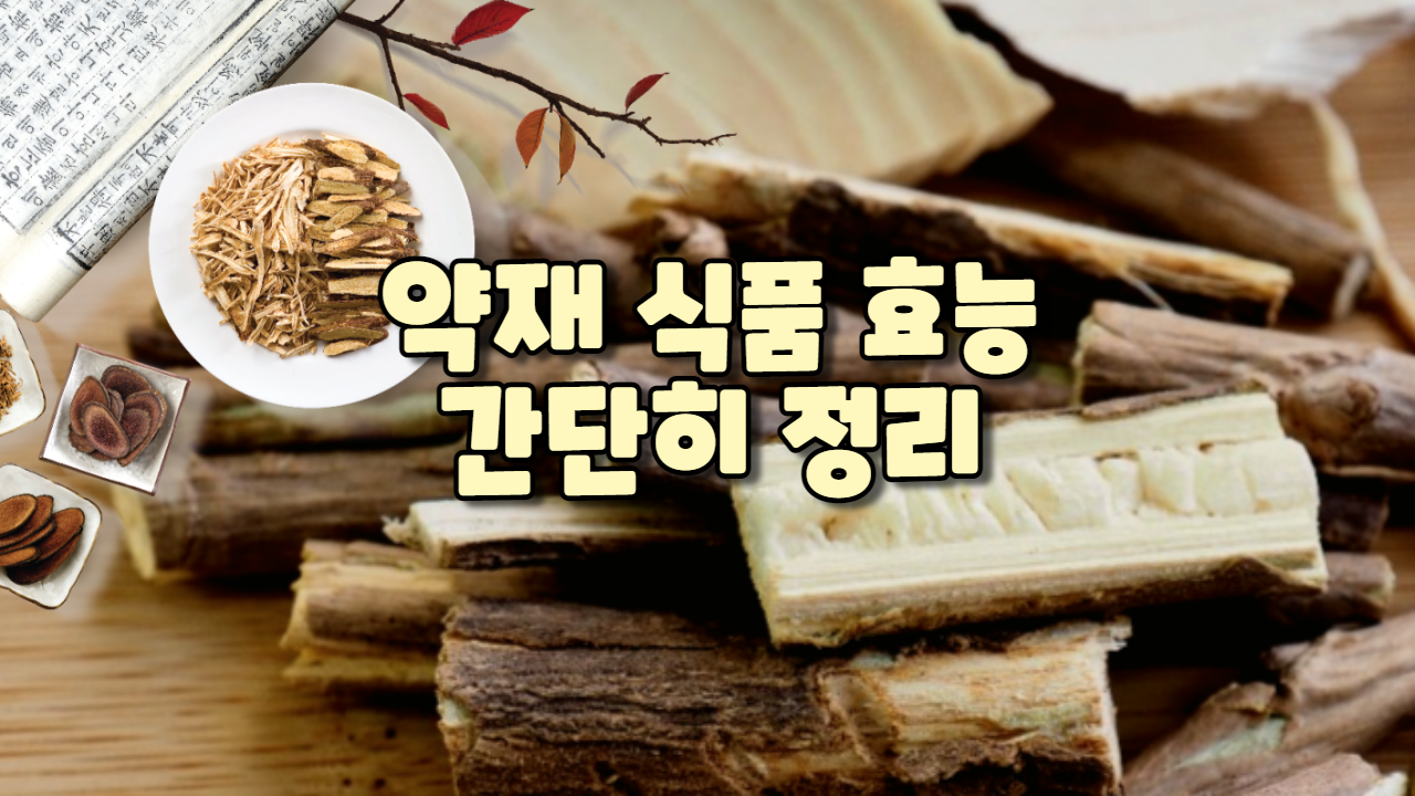  약재 식품 효능 간단히 정리