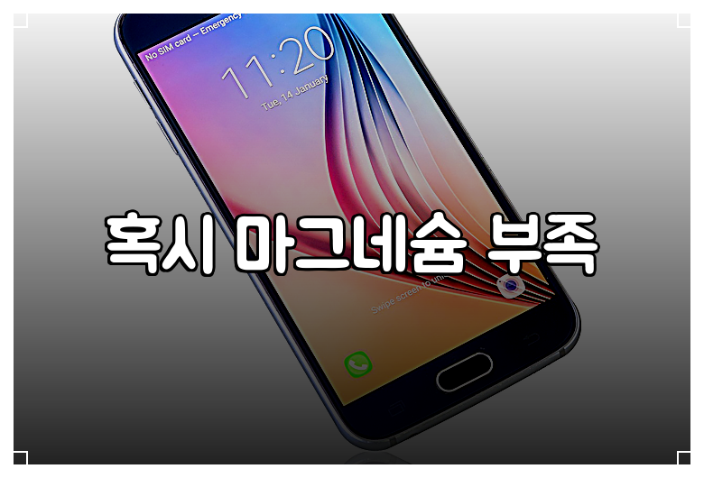 혹시 마그네슘 부족