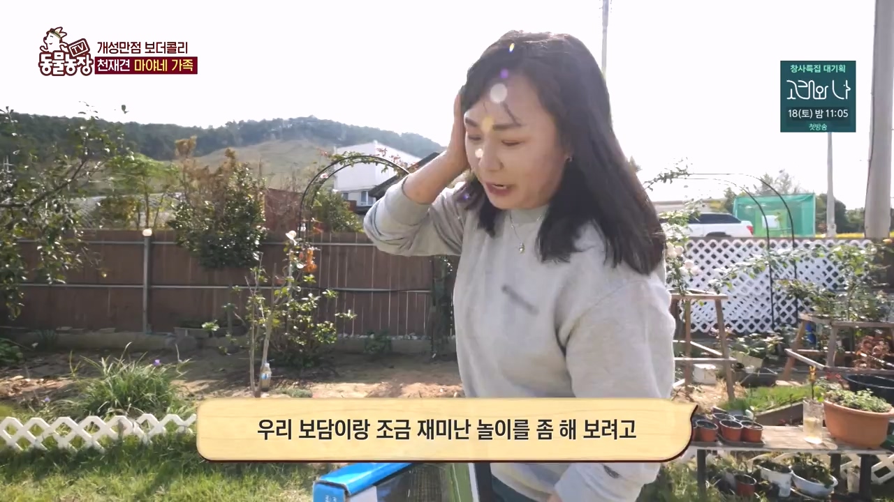 TV 동물농장.E1145.231113p-NEXT.mp4_20231112_173436.499.jpg