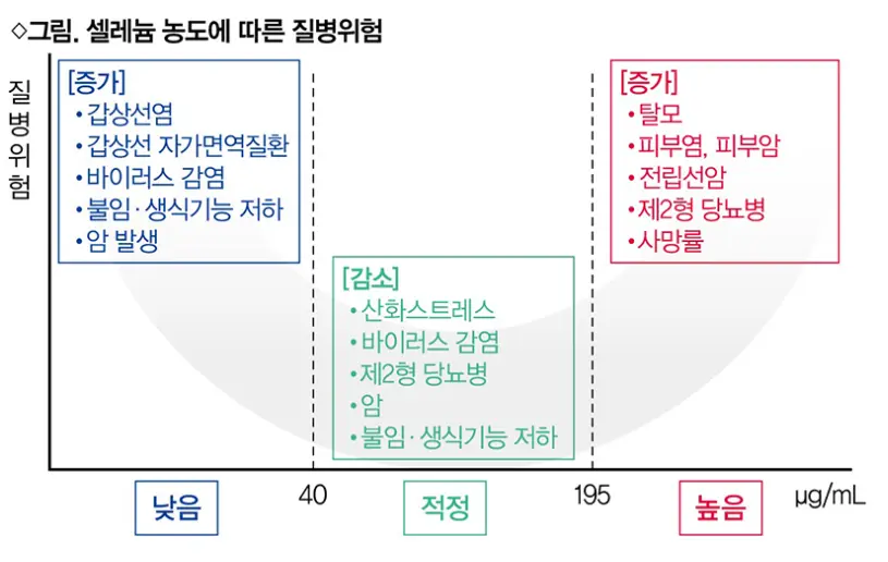 혈중-셀레늄-농도-신체반응