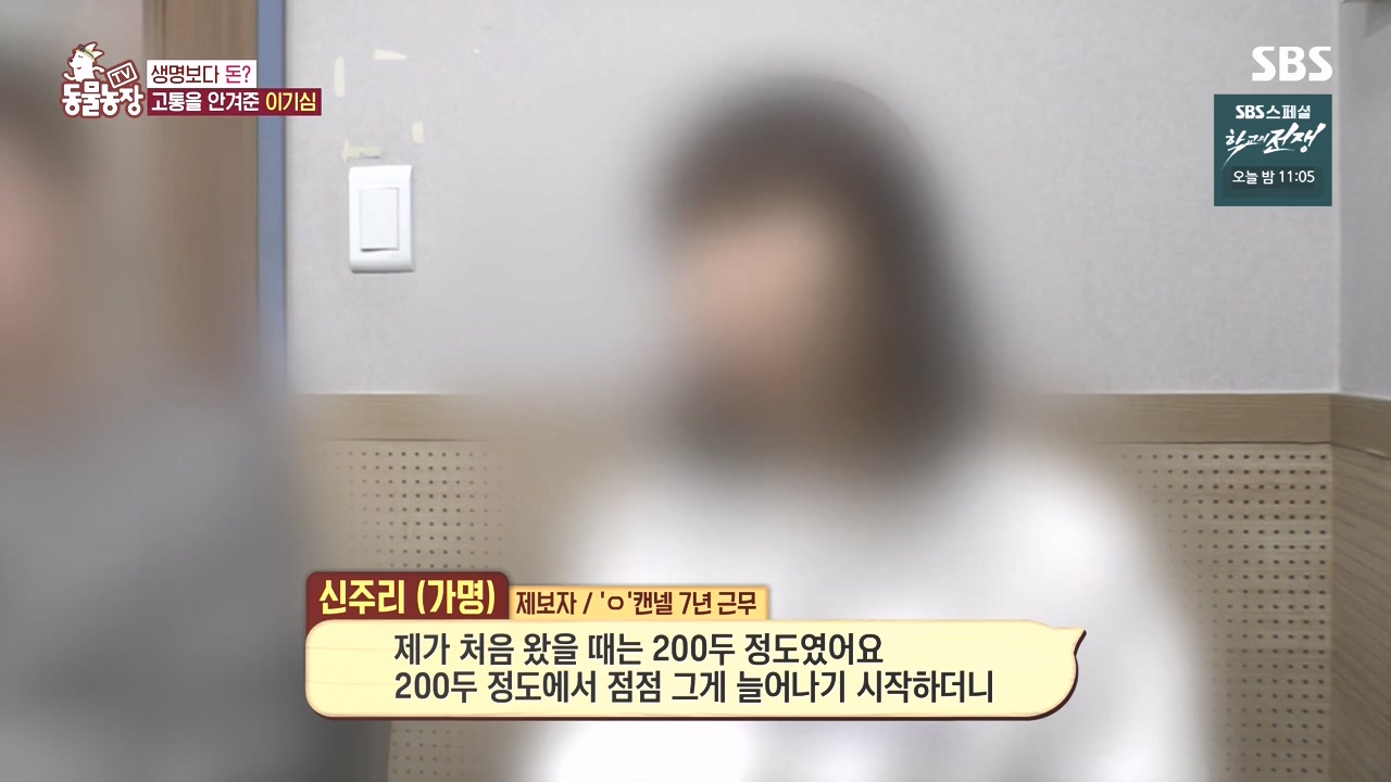 TV 동물농장.E1142.231023p-NEXT.mp4_20231022_173442.104.jpg