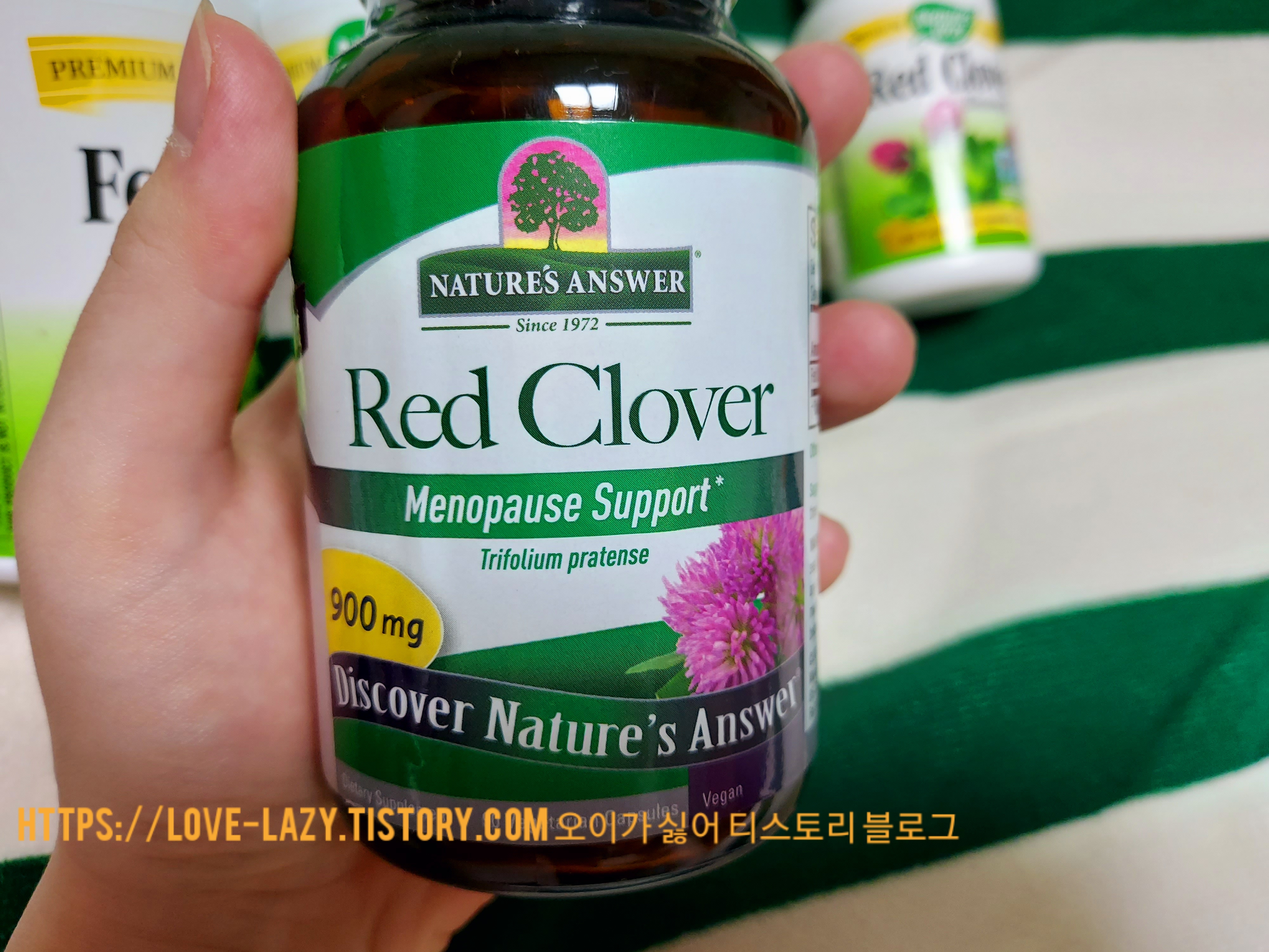  아이허브 레드 클로버 식물성 여성 호르몬 이소플라본 효능