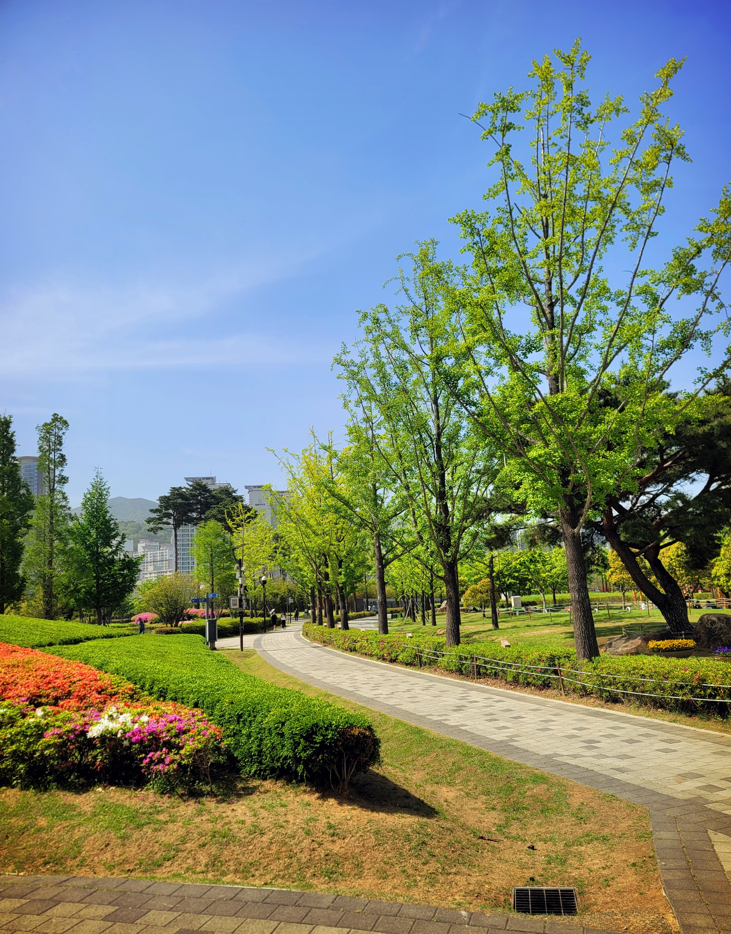 부산시민공원2