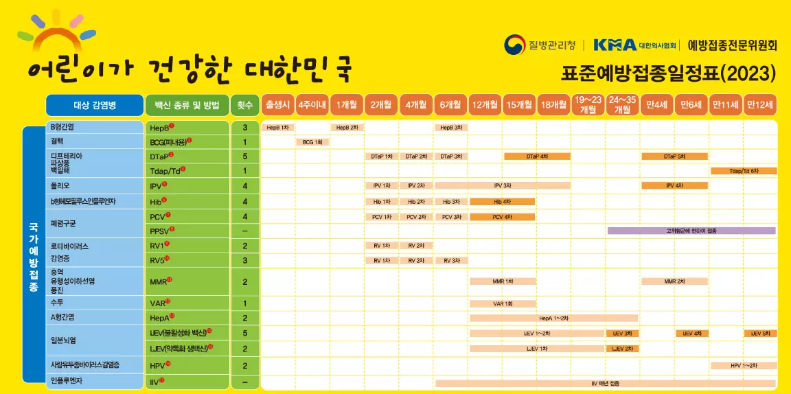 표준예방접종일정표