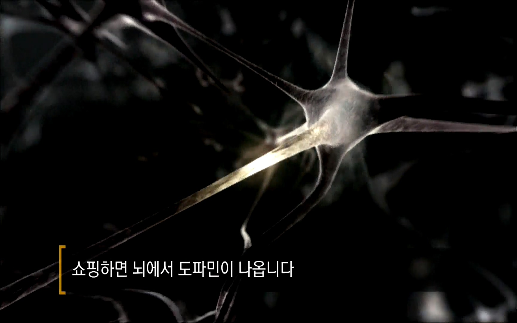 다큐 프라임 - TV - 교육의 중심 EBS자본주의 2부. 소비는 감정이다.mp4_20220512_194751.554.jpg
