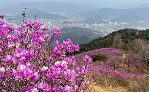 종남산 정상
