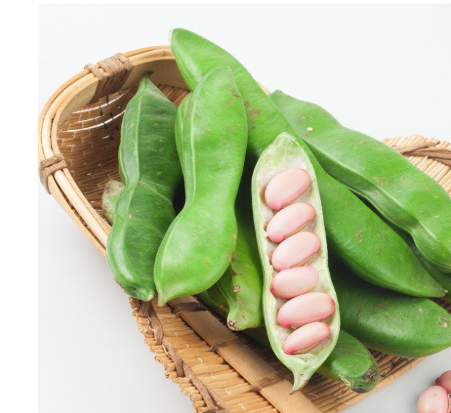 알레르기 비염 에 좋은 음식 알레르기 비염 에 좋은 음식