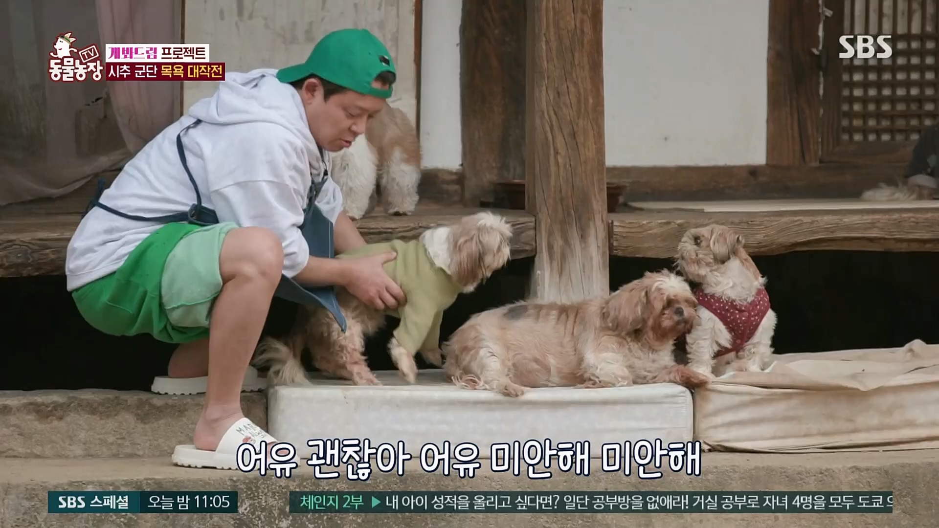 TV 동물농장.E1103.230108p.H264-F1RST.mp4_20230108_174647.572.jpg