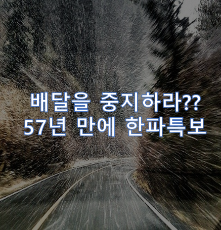  57년 만에 한파특보 배달을 중지하라?? 폭설 내일은?!