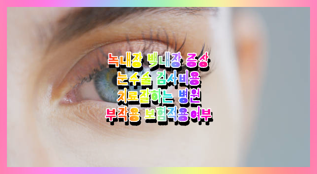  녹내장 백내장 증상 눈수술 부작용 및 검사비용 치료잘하는 병원 (다초점 단초점 실비보험적용여부, 수술방법, 수술비용, 자가진단)