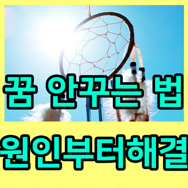 꿈 안꾸는법 (꿈 많이 꾸는 이유○)