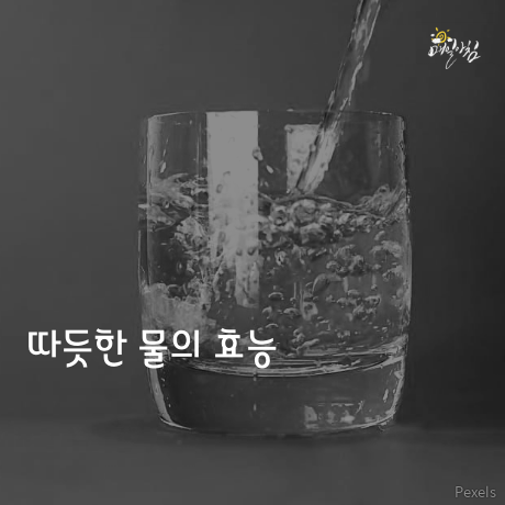  따뜻한 물만 먹어도 이렇게 좋다고???