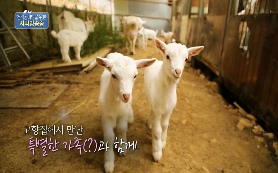 6시 내고향.E7498.220329p.H264-F1RST.mp4_20220329_184026.196.jpg