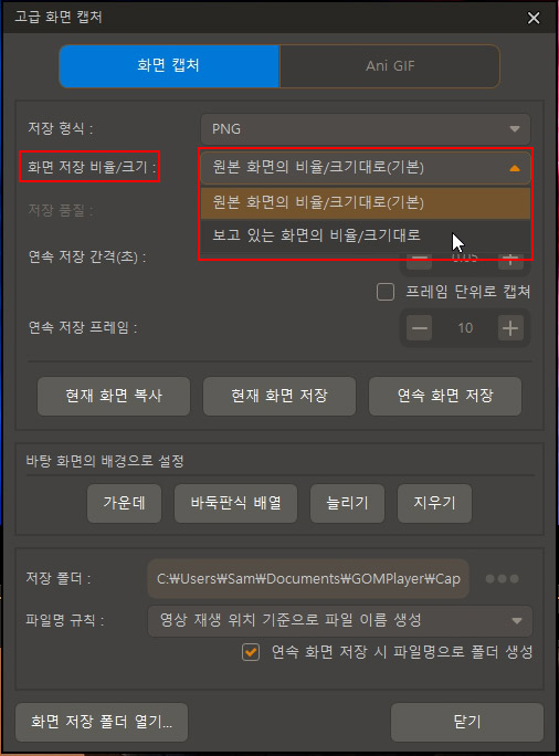 곰플레이어 고급 화면 캡쳐 옵션