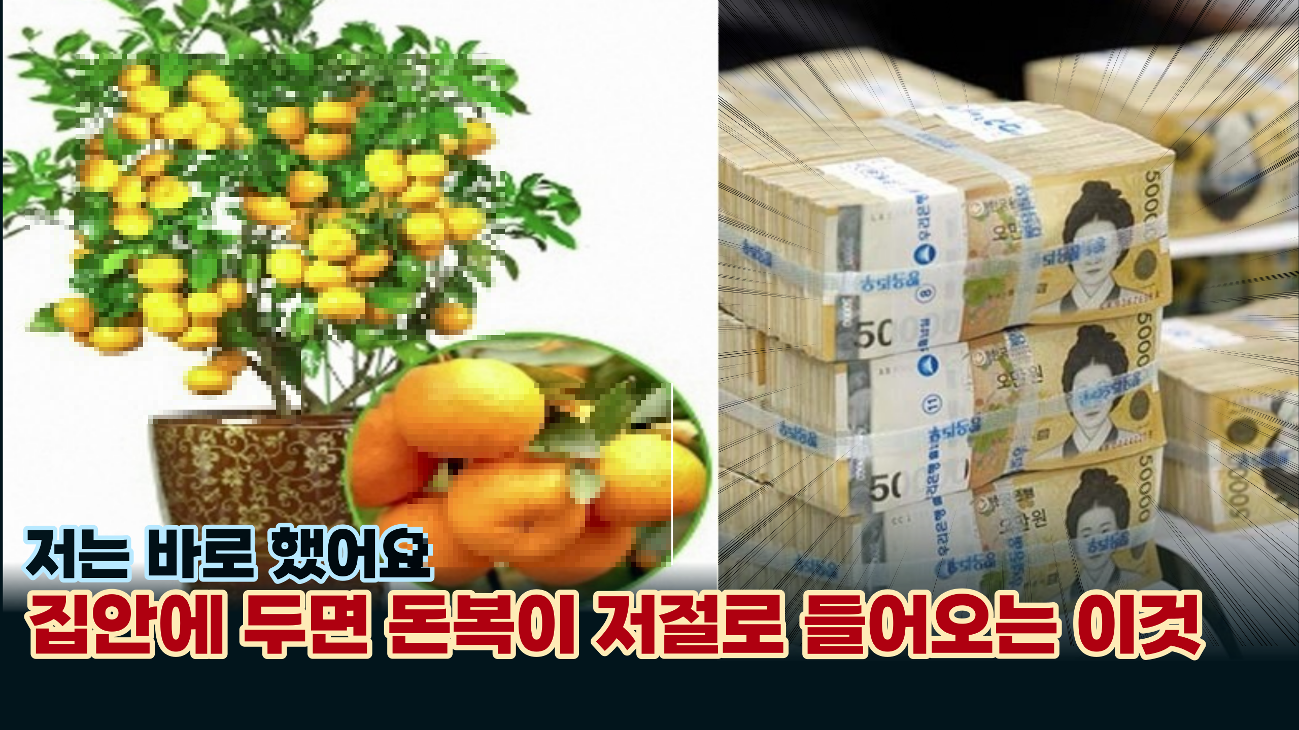  '집안 분위기가 살고' 이게 집안에 있으면 올해 20억 돈복이 저절로 굴러들어옵니다.