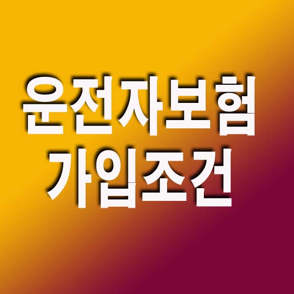  운전자보험 가입조건부터 보장내용까지