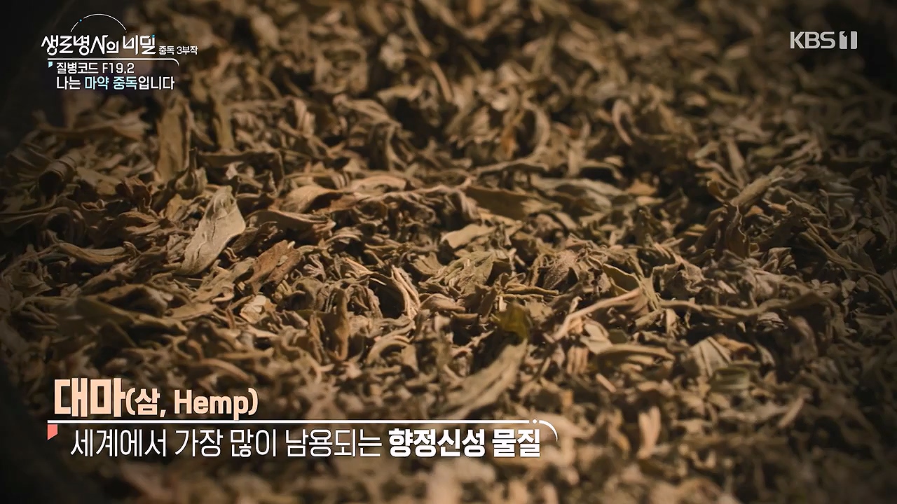 생로병사의 비밀.E917.240627p-NEXT.mp4_20240627_205320.442.jpg